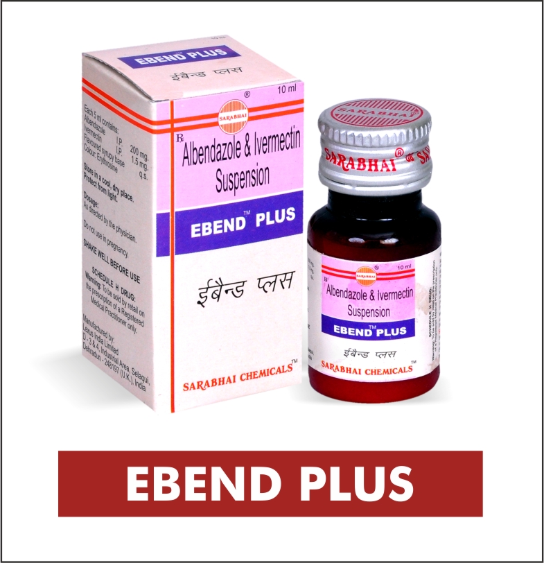 EBEND PLUS